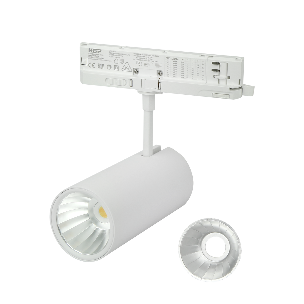 Railspot LUMICANTO 14-29W CCT 36/60° wit PRIME