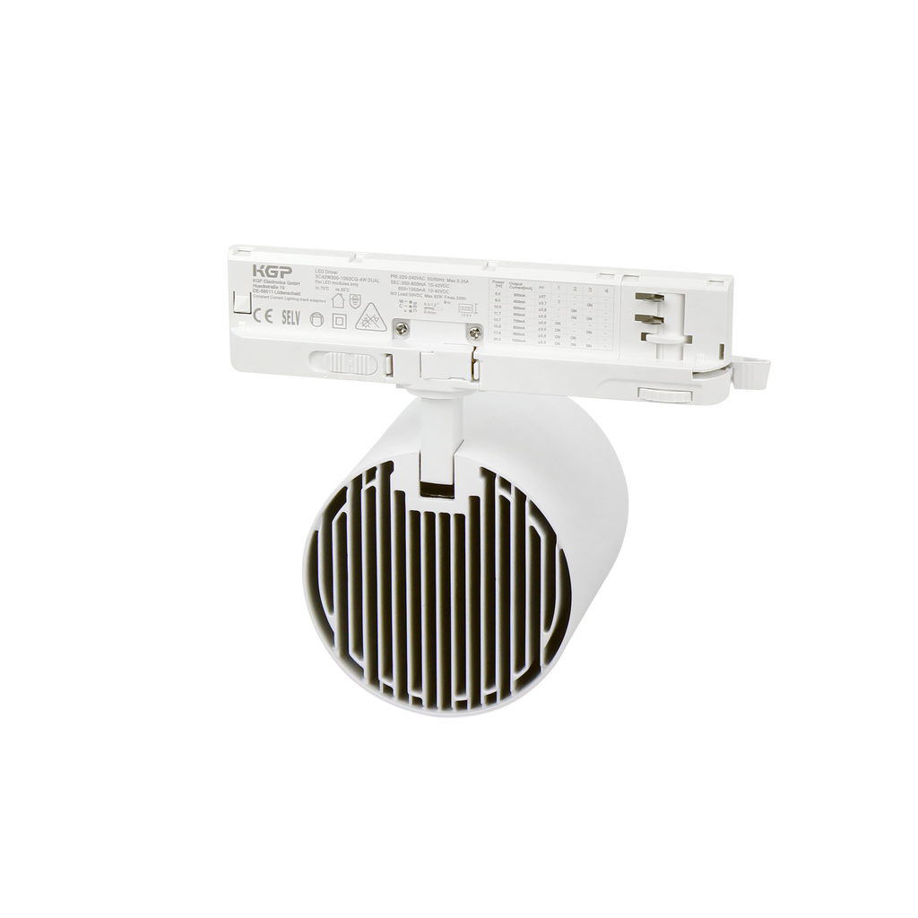 Railspot LUMICANTO 6-20W CCT 36/60° wit PRIME