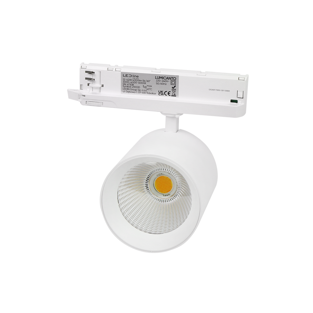 Railspot LUMICANTO 6-20W CCT 36/60° wit PRIME