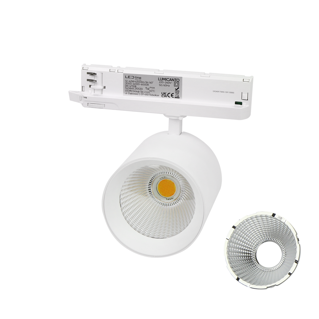 Railspot LUMICANTO 6-20W CCT 36/60° wit PRIME