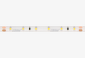 LED-strip 300/5m SMD 24V 4000K 4.8W IP65 8mm 5m 480lm/m LITE