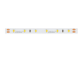 Taśma LED 300/5m SMD 24V 6500K 4,8W IP20 8mm 30m 480lm/m PRIME