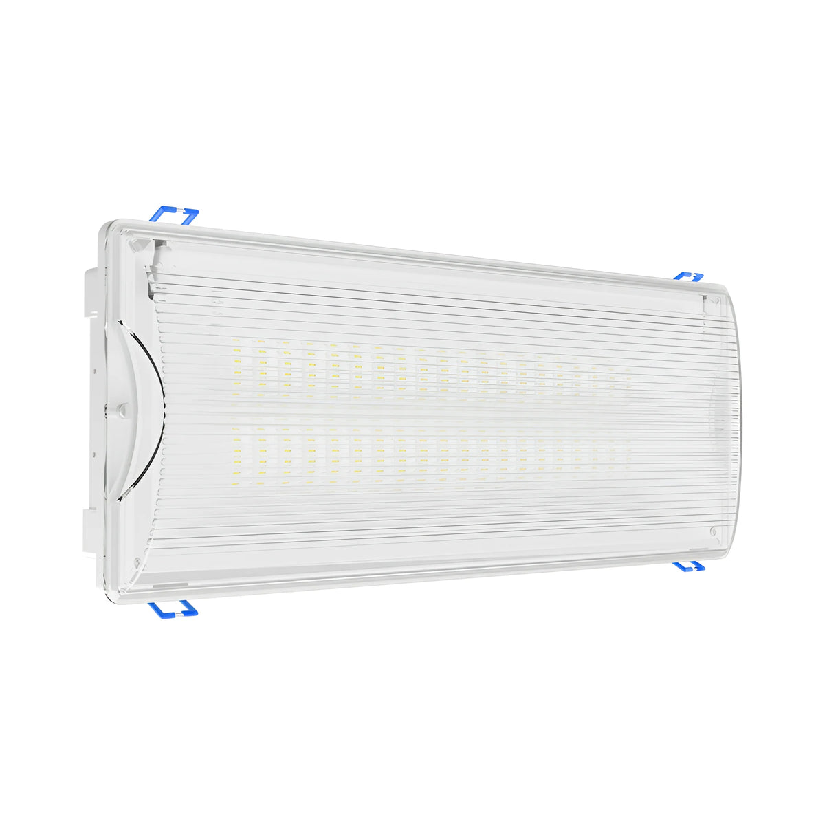 Braytron Exit Nooduitgangverlichting 5W IP65 Wit LED DUAL