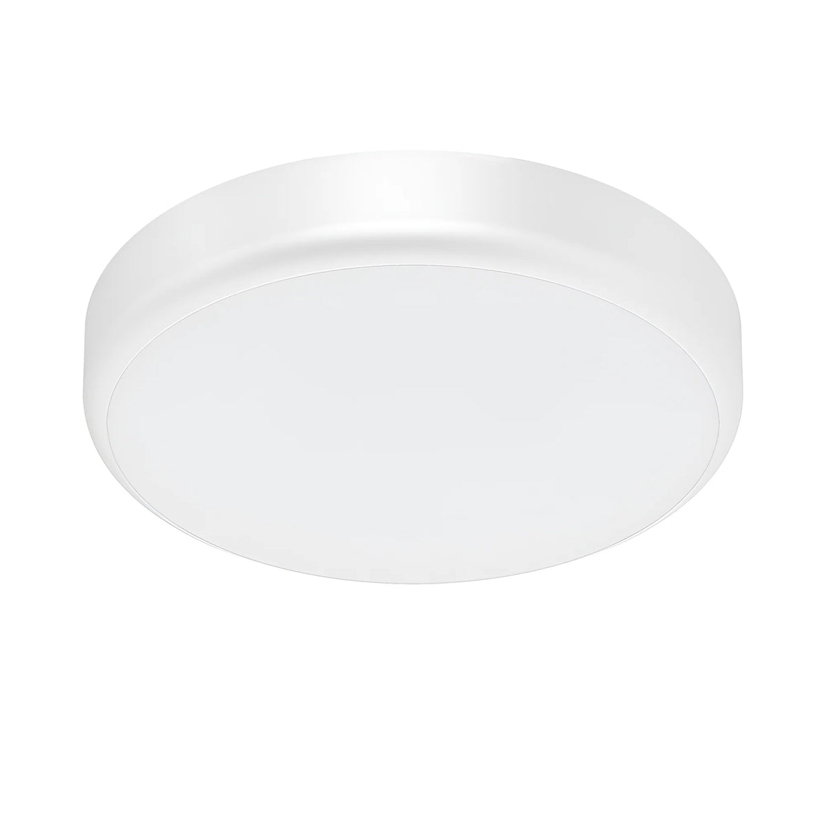 Braytron Grande Plafondlamp 20W IP65 RND 5IN1 SNS