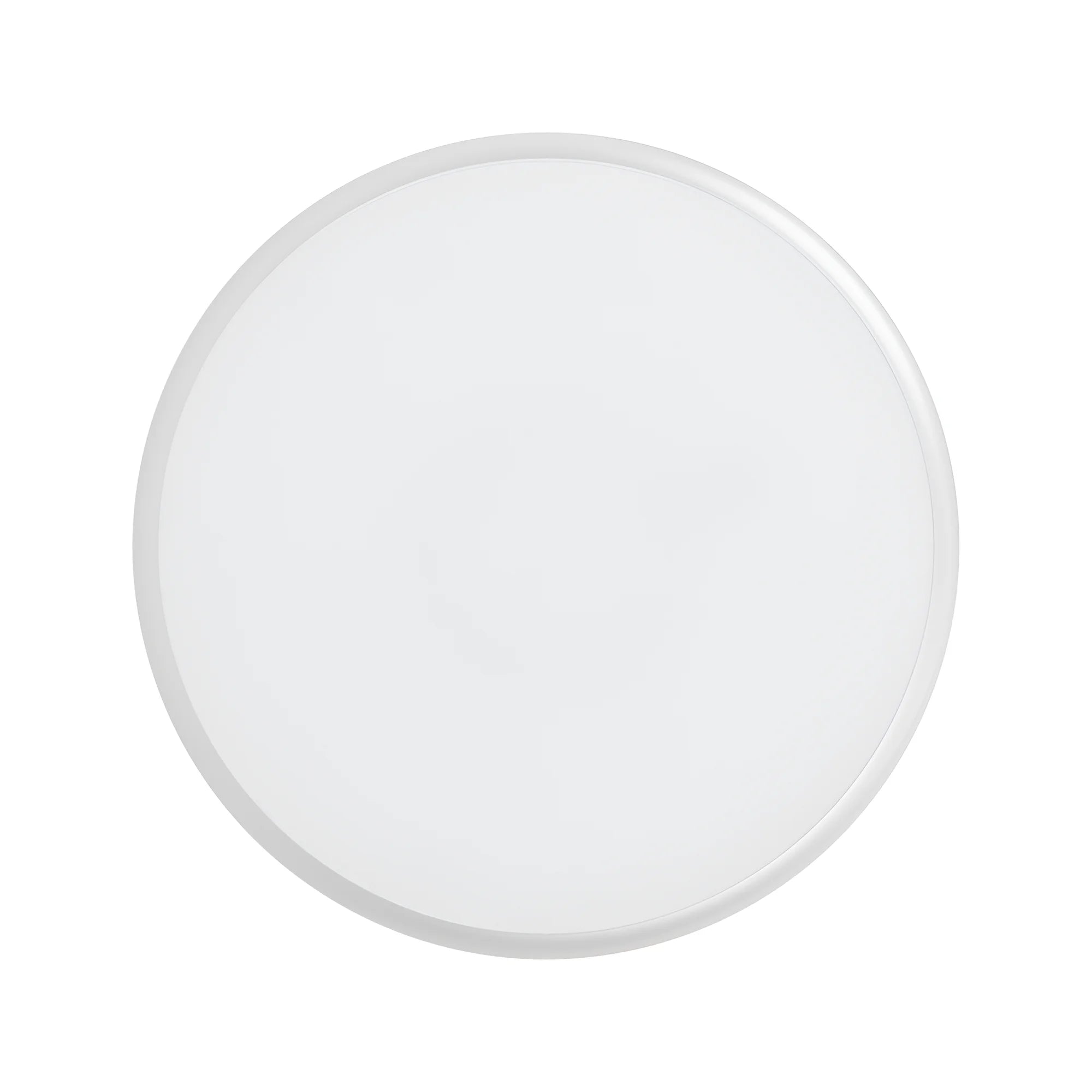 Braytron Grande Plafondlamp 20W IP65 RND 5IN1 SNS