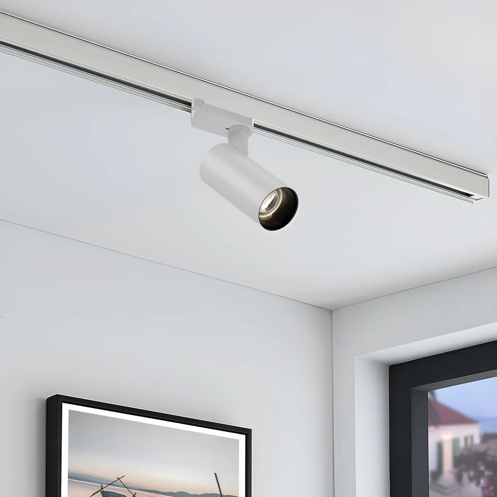 Braytron Shopline Railspot 15W Wit P15 2WRS 3IN1