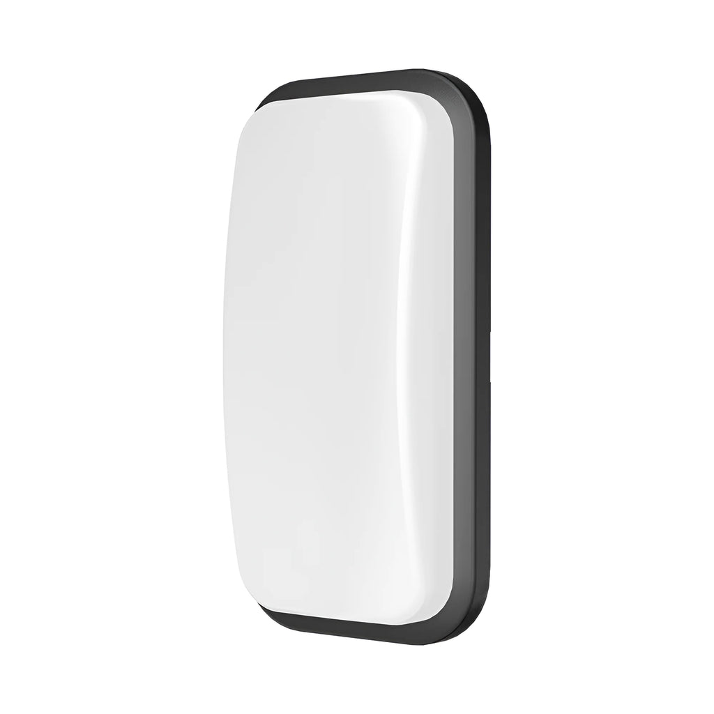 Braytron Walls Wandlamp 15W 4000K IP65 Zwart B ELP