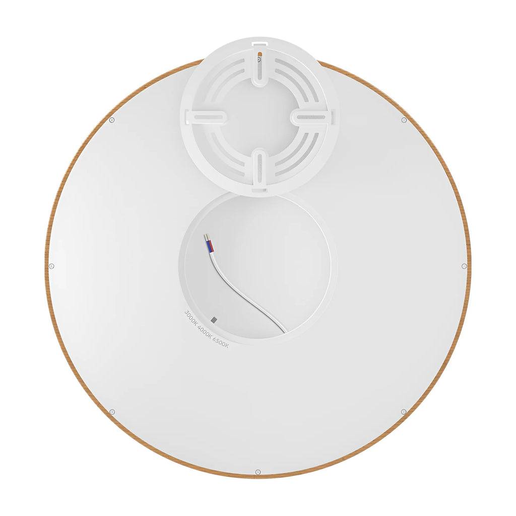 Braytron Jade Plafondlamp 36W SLR WDN RND 3IN1