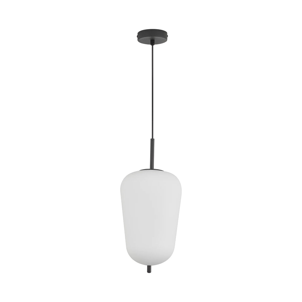 Braytron S011R Hanglamp Zwart 1H 1xE27 OPL
