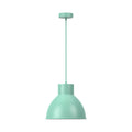 Braytron P008R Hanglamp 1H 1xE27 GRN